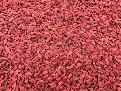 Juniper Berry, one of the GlycoAid ingredients